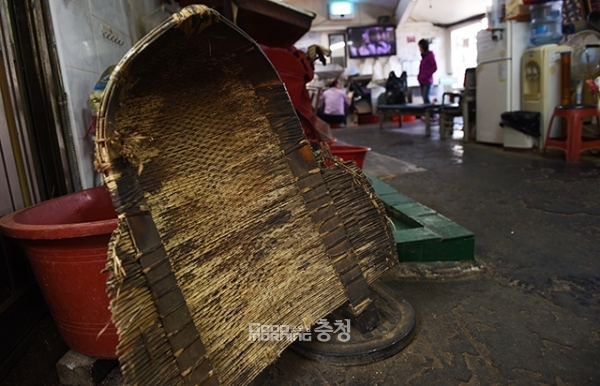 오랜 세월의 흔적을 보여주는 키