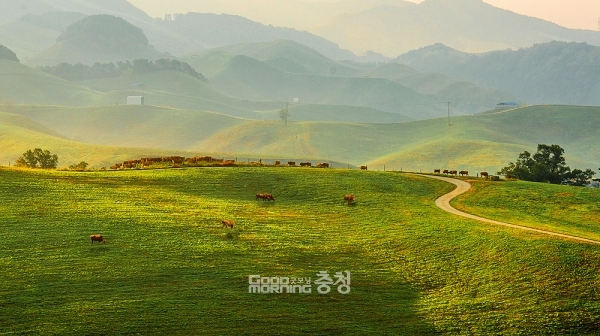 서산시는 또 운산면 용현리 산 8-60번지 일원 한우목장에 40억 원을 들여 2022년까지 약 2km 구간의 웰빙산책로를 조성한다. (자료사진: 서산시 제공)