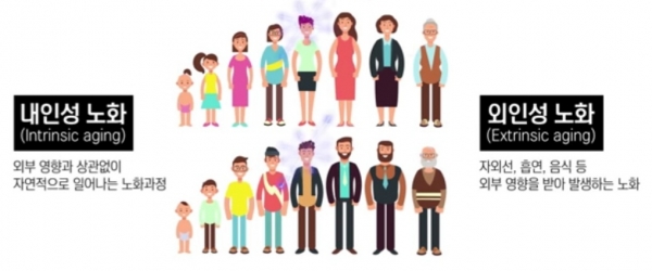 내인성 노화와 외인성 노화의 발생 과정. 사진=김홍석 원장/굿모닝충청 김수미 기자