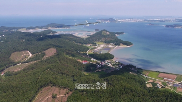 충남도와 태안군의 최대 현안 중 하나인 가로림만 해상교량건설 사업이 3월 중 가닥을 잡을 전망이다. (태안군 제공: 가로림만 해상교량 예상도/ 굿모닝충청=김갑수 기자)