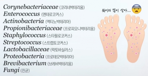 발바닥에 분포돼 있는 수 많은 균. 사진=김홍석 원장/굿모닝충청 김수미 기자