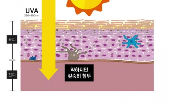 UVA는 자외선A로 일상생활서 차단이 중요. 사진=김홍석 원장/ 굿모닝충청 김수미 기자