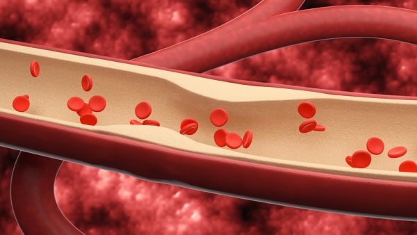 이해를 돕기 위한 이미지. 사진=게티이미지뱅크/굿모닝충청=박종혁 기자