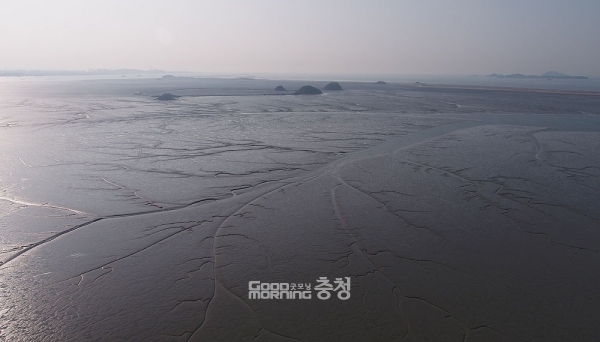 충남도와 서천군은 세계자연유산으로 등재된 서천 갯벌 보호 및 지역 주민들의 치유 등을 핵심 방향으로 설정한 끝에 ‘서천 브라운필드 그린뉴딜 사업 기본계획’을 마련하기에 이른다. (충남도 제공: 서천 갯벌)