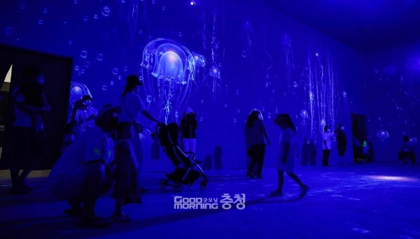 이번 박람회는 ‘해양의 재발견, 머드의 미래 가치’를 주제로 이날부터 내달 15일까지 대천해수욕장 일원에서 개최된다. (충남도 제공)