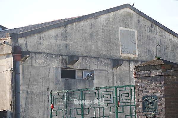 충남 예산군이 20년 넘게 방치되고 있는 신례원 옛 충남방적 부지 문제 해결을 위해 행정력을 집중하고 있는 모양새다. (사진=굿모닝충청 이종현 기자)