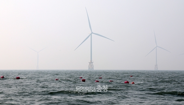 가세로 군수는 “직접 보니까 양식장도 조성돼 있었다. 이는 수산업이 가능하다는 얘기”라며 “소음도 들어봤는데 파도와 바람 소리만 들릴 뿐 그 기기 자체의 소음은 없었다”고 말했다. (태안군 제공)