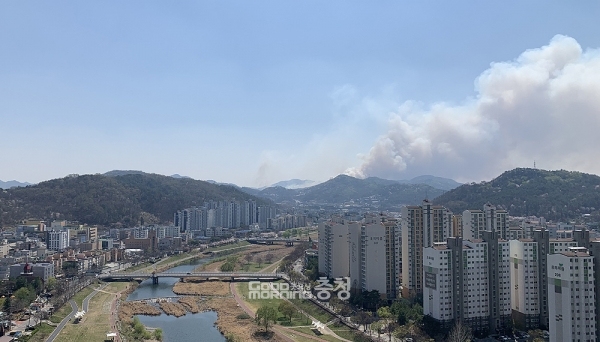 대전시 서구 산직동에서 산불이 발생했다. (독자 제공/ 굿모닝충청=신성재 기자)