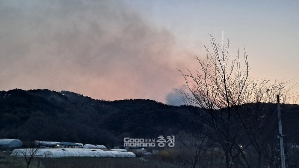 해당 지역의 지형 역시 소방당국에 어려움을 안겨주고 있다. 높지 않은 산이 길게 늘어져 있는 모양새인데 소방차 진입이 어려워 일일히 인력을 투입해야 하는 상황이기 때문이다. 