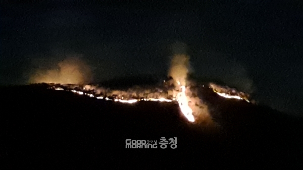 2일 오전 충남 홍성군 서부면에서 발생한 산불이 인근 갈산면으로 확산하고 있다. (사진=굿모닝충청 김갑수 기자)
