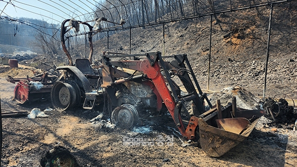 홍성 산불 피해 현장. (사진=굿모닝충청 채원상 기자)