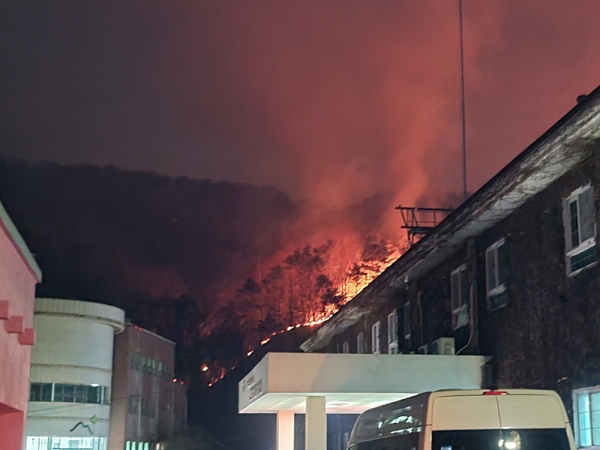 지난 2일 밤 대전 서구와 충남 금산의 경계 지역인 산직동 일대에 발생한 대형 산불과 관련해 1개 학교가 하루 휴업한다. (사진=독자 제공/굿모닝충청 조연환 기자)
