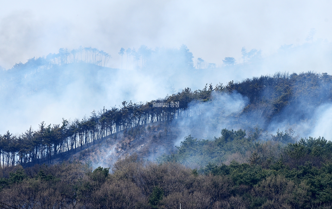서부면 야산에 불길이 번지고 있다(사진=채원상 기자)