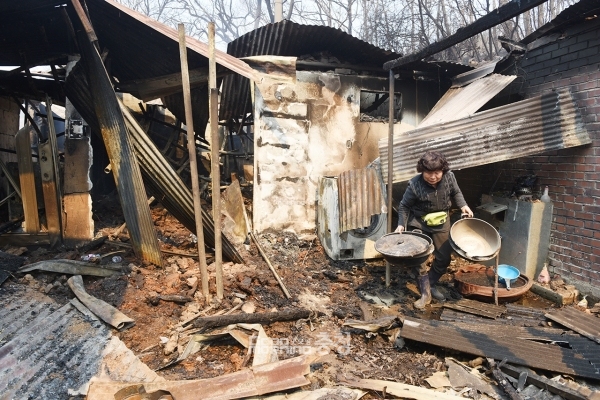 충남도는 지난 2일 홍성군을 비롯한 7개 시·군에서 발생한 산불과 관련 행정안전부로부터 13억 원의 특별교부세를 지원받았다고 5일 밝혔다. (홍성 산불 피해 현장. 자료사진=본사DB/굿모닝충청 이종현 기자)