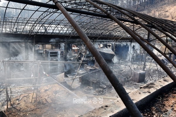 충남 홍성군이 지난 2일부터 사흘간 발생한 산불과 관련 피해 복구와 주민 지원에 총력을 기울이고 있다. (자료사진=본사DB/굿모닝충청 이종현 기자)