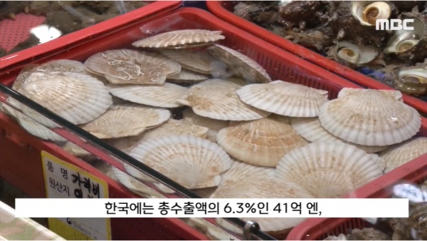 25일 일본 정부가 중국의 일본산 수산물 전면 수입 금지 조치로 인해 수출 판로가 막힌 일본산 가리비를 한국과 유럽에 더 팔겠다고 밝혀 논란이 되고 있다.(출처 : MBC 뉴스 영상 갈무리/굿모닝충청 조하준 기자)