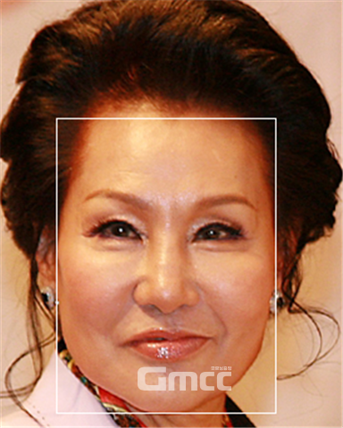 그림1 패티김의 안면영역 추출 영상. 사진=조동욱/굿모닝충청 김종혁 기자