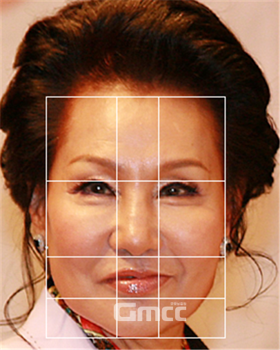 그림2. 안면비율 비교를 위한 기준선. 사진=조동욱/굿모닝충청 김종혁 기자