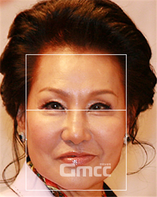 그림 3. 눈꼬리 각도 기준선. 사진=조동욱/굿모닝충청 김종혁 기자