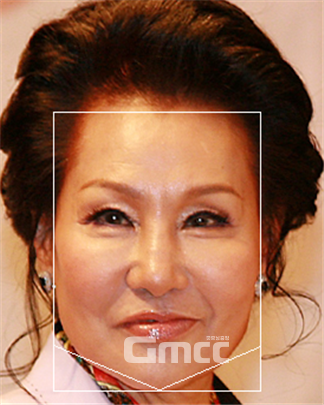 그림 4. 턱의 각도 측정선. 사진=조동욱/굿모닝충청 김종혁 기자