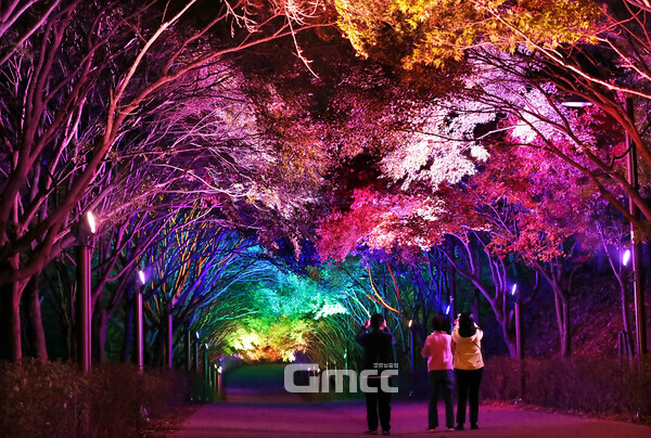 지난해 야간개장 사진(제공)