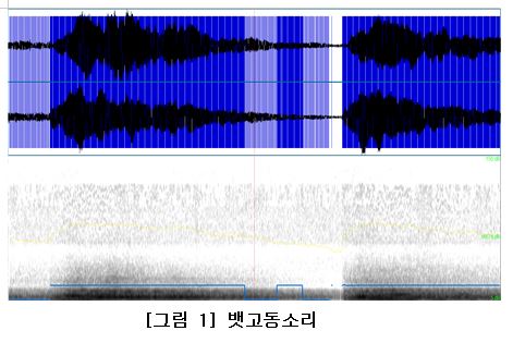 뱃고동 소리. 자료=조동욱/굿모닝충청 김종혁 기자