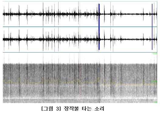 장작불 타는 소리. 자료=조동욱/굿모닝충청 김종혁 기자