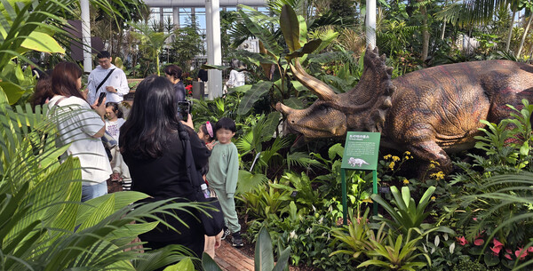 본격적인 가을이 계속되고 있는 가운데, 많은 시민이 국립세종수목원에서 가족과 함께 즐거운 시간을 보내고 있다. (굿모닝충청=박수빈 기자)