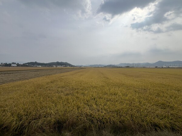 김영선 의원실과 명태균 씨가 창원 국가산단 부지로 제안했다는 창원시 의창구 대산면 우암리 일대 토지. 77만 평 대부분이 농지다.(사진=시민언론 민들레 김성진 기자)