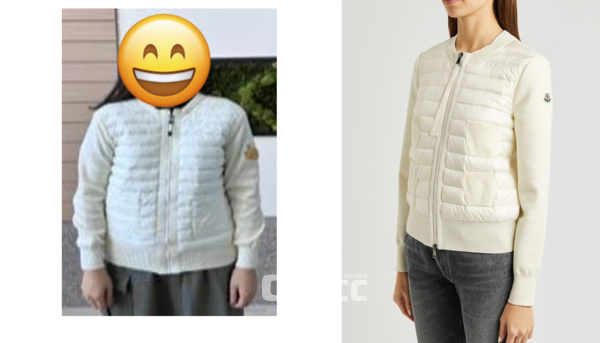 왼쪽부터 대전시 공무원 근무복과 이탈리아 브랜드 몽클레르. 로고까지 비슷할 정도로 흡사하다는 게 이용기 대전시의원의 지적이다. (사진=이용기 의원실 제공/굿모닝충청 신성재 기자)