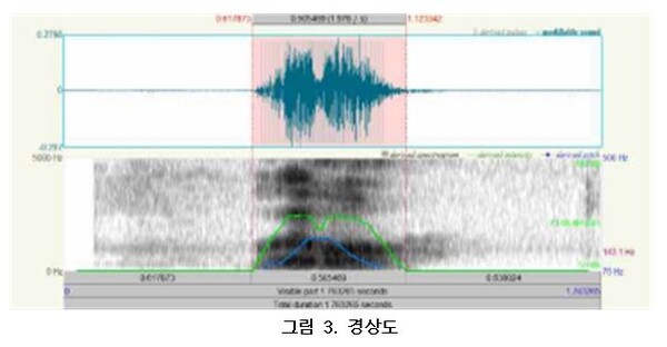 경상도 말 분석 결과. 자료=조동욱/굿모닝충청 김종혁 기자