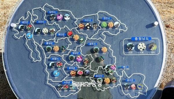 비상계엄령이 6시간 만에 해제됐지만 충남지역에서도 밤사이 긴급사태에 대한 충격의 여파가 이어지고 있다. (자료사진=본사DB/굿모닝충청=이종현 기자)