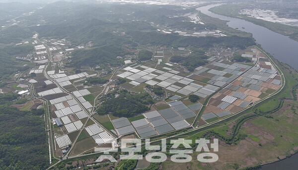 충남 부여군은 농림축산식품부 주관 ‘2025년도 배수개선사업’ 대상지로 ▲기본조사 4개 지구 ▲신규착수 4개 지구가 선정돼 총사업비 1523억 원을 전액 국비로 확보했다고 7일 밝혔다. (부여군 제공: 장하2지구/ 굿모닝충청=김갑수 기자)