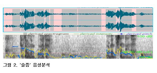 슬픔 음성 분석. 자료=조동욱/굿모닝충청 김종혁 기자