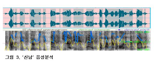 신남 음성 분석. 자료=조동욱/굿모닝충청 김종혁 기자