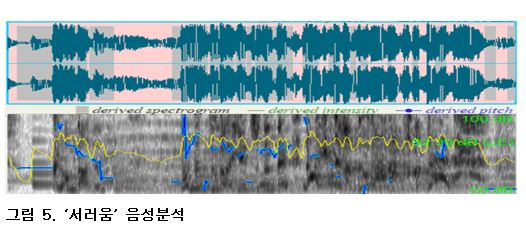 서러움 음성 분석. 자료=조동욱/굿모닝충청 김종혁 기자