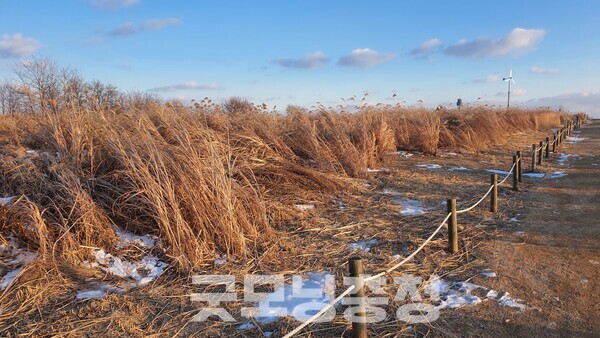 서울 마포구 상암동에 위치한 하늘공원.(사진=굿모닝충청 조하준 기자)