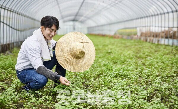 충남도가 농업인 기준 재조정, AI 빌딩형 축산단지 도입 등을 주요 정당과 대선 후보에게 전달할 예정인 것으로 21일 확인됐다. (자료사진=논산시 블로그 갈무리/굿모닝충청=이종현 기자)