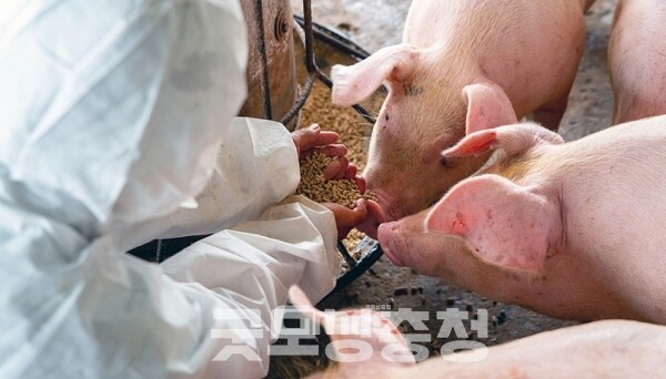 다음으로 AI 빌딩형 축산단지 도입을 제안했다. (자료사진=충남도 누리집 갈무리/굿모닝충청=이종현 기자)