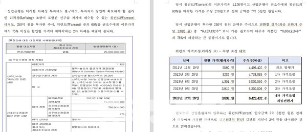 '제보자 X'로 알려진 시민 제보자는 지난 19일, 금융위에 불공정거래 혐의에 대한 총 54페이지 분량의 신고서를 접수했다. (사진은 신고서 일부 캡처)