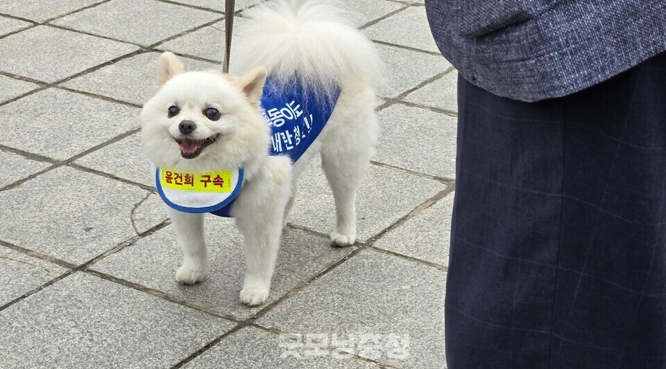 이재명 '동물복지법' 제정 약속, 동물보호센터 지원도 확대 < 중앙