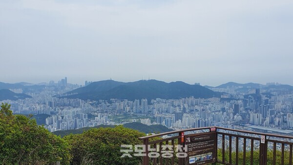 백양산의 애진봉에서 바라본 부산 시내 전경. 바로 앞에 보이는 산은 황령산이며 그 앞에 고층 건물들이 들어선 곳이 부산 최대 번화가인 서면이다. 그리고 좌측 상단 일대가 해운대 마린시티다.(사진=굿모닝충청 조하준 기자)