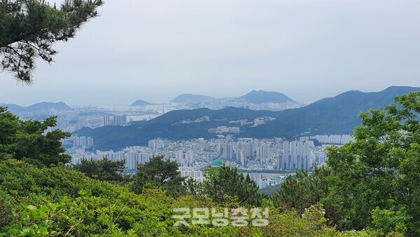 백양산의 애진봉에서 바라본 부산 시내 전경. 가까이에 있는 산은 승학산이며 멀리 보이는 바다 쪽은 영도의 신선대 부두와 부산의 대표적인 명소 태종대다.(사진=굿모닝충청 조하준 기자)