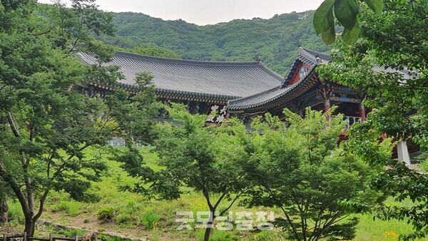 백양산 내 대표적인 사찰인 운수사. 부산의 유명한 사찰 범어사의 말사이기도 해 은근히 정치인들이 많이 찾는 절이기도 하다.(사진=굿모닝충청 조하준 기자)