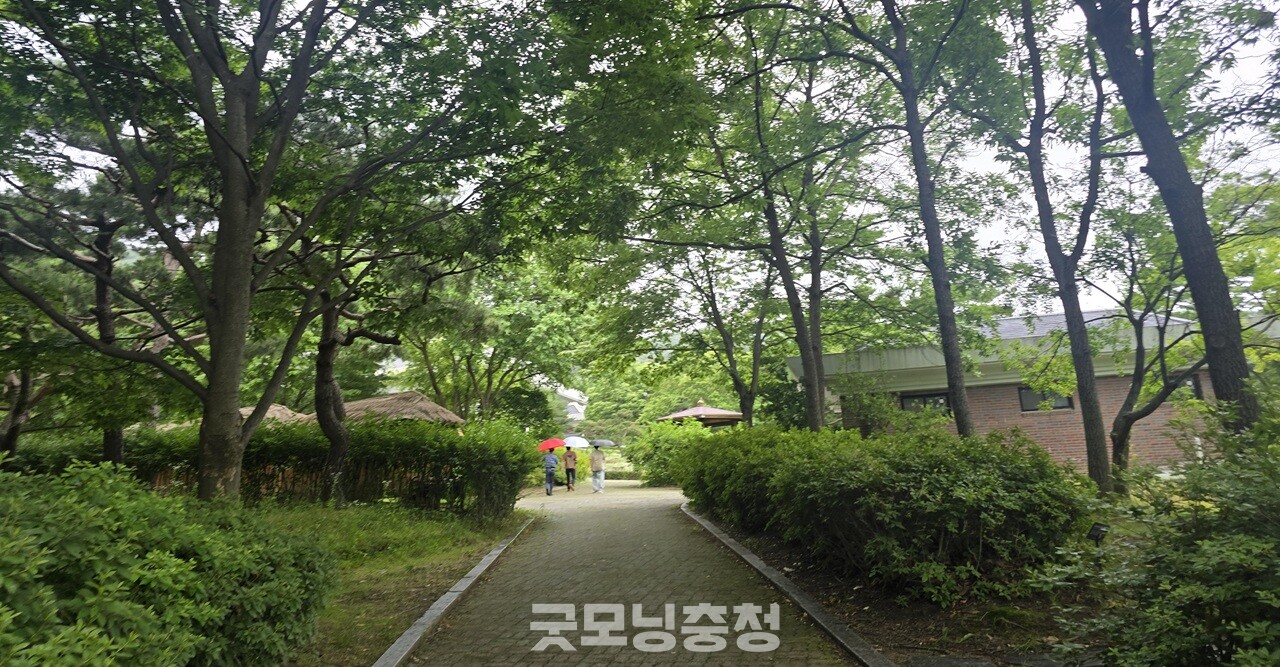 방문객들에게 특별한 '힐링'을 보여주었던 금강휴양림의 개방이 오는 29일을 끝으로 막을 내린다. (굿모닝충청=세종 박수빈 기자)