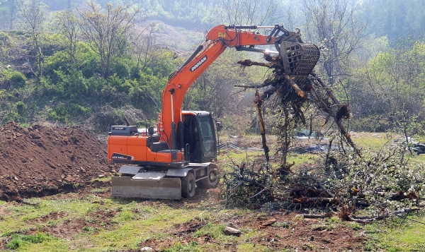 과수화상병에 점염된 사과나무를 매몰하는 모습. 사진=충주시/굿모닝충청 김종혁 기자