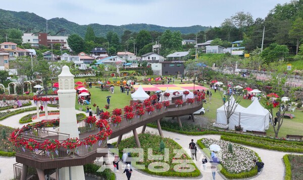 인터뷰 말미, 박 청장은 “한화 이글스의 반전이 지금의 동구와 닮았다”고 말했다. 낙후와 침체의 프레임을 깨고, 정책의 완성도를 높이며 ‘머무는 도시’로 거듭나는 과정이 이제 막 결실을 맺기 시작했다는 것이다. (사진=동구 제공)