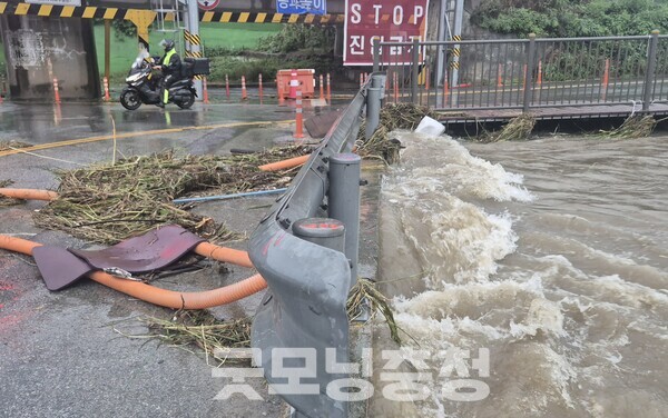 천안시 성천천 범람. (사진=굿모닝충청 채원상 기자)