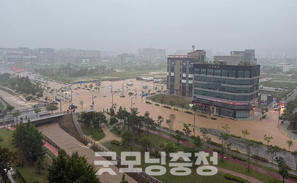 내포신도시 충남경제진흥원 앞 도로. (사진=독자 제공/굿모닝충청=이종현 기자)