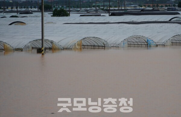 일부는 밤새 배수 작업이 이뤄졌지만 여전히 물에 잠긴 곳이 상당한 것으로 알려지고 있다. (예산군 예산읍 창소리. 사진=굿모닝충청 이종현 기자)